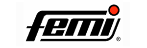 femi-logo-300x98